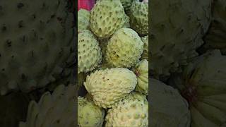 MANY KINDS OF FRUITIES shorts shortvideo short [upl. by Levine]