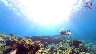 Diving Kefalonia 2024 4K [upl. by Masha437]