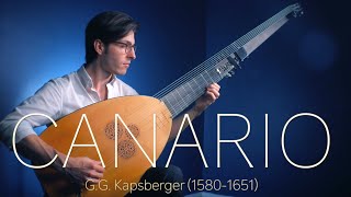 Canario on Theorbo [upl. by Hannahc]