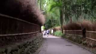 京都 嵯峨野 竹林の道 Sagano Bamboo Forest [upl. by Fania]