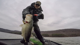 GoPro  Lake Guntersville  Day 1 Highlights [upl. by Par601]