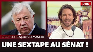 Arnaud Demanche  Une sextape au Sénat [upl. by Haimorej]