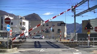 Spoorwegovergang Lugano CH  Railroad crossing  Passaggio a livello [upl. by Pence143]