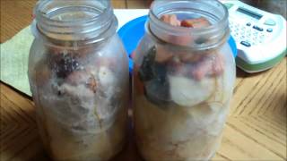 Pressure Canning Chicken Potatoes and Carrots Raw vs Cooked [upl. by Merry]