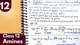 12 Alkylation and Acylation of amines Benzoylation Amines Class12 Chemistry jee neet chemistry [upl. by Amerigo]