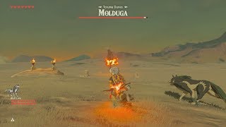 Molduga Trick Shot Master Mode Zelda BotW [upl. by Tizes628]