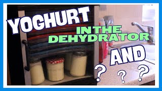 Delicious Homemade Yogurt Made Easy With A Dehydrator  Bonus Recipe [upl. by Eetsim]