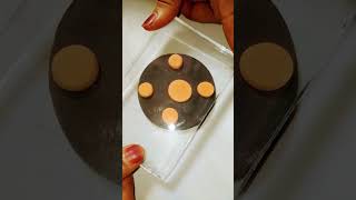 Satisfying clay cookies art viral shorts trending ytshorts clayart [upl. by Nad876]