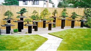 TOP 80 ARTISTIC BONSAI GARDEN DESIGNS  HOW TO SET UP YOUR OWN BEAUTIFUL BONSAI GARDEN IDEAS [upl. by Ocirrej]