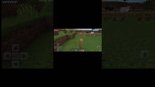 😂 my farm in minecraft 😂 malayalam [upl. by Nyladam340]