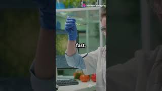 CRISPR The Future of Gene Editing facts biology ytshorts genetics biotechnology lifescience [upl. by Sucam61]