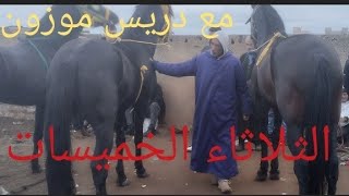 سوق الثلاثاء الخميسات مع دريس موزون بتاريخ 19112024 [upl. by Blayne782]