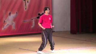 Yip Kin Wing Chun  Sai Fa Kuen form [upl. by Kaile]