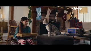 Pets Arent Just Pets Theyre More Gift Guesser Cat  Chewy Holiday [upl. by Lepine872]