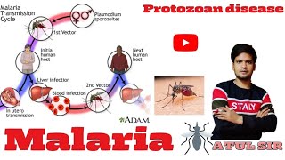 Malaria the Protozoan disease caused by Plasmodium by Atul Sir Genius Study point [upl. by Buerger]