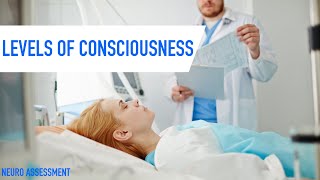 Levels of Consciousness  Neuro Assessment [upl. by Louanna]