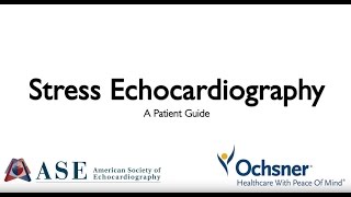 Stress Echocardiography A Patient Guide [upl. by Yelserp158]