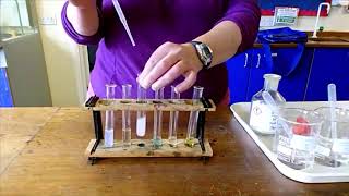 Testing for Cations Using Sodium Hydroxide solution [upl. by Menard]