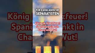 König im Kreuzfeuer Spanien versinkt in Chaos und Wut [upl. by Brucie]