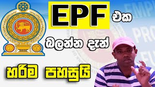 How to Check EPF Blance Online Sinhala 2020 EPF එක බලන්න දැන් හරිම ලෙසී [upl. by Sitruk434]