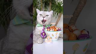 🥭 Let’s Make Soft And Chewy Mango Mochi Ice🤤🧊 Popular Desserts catsofyoutube tiktok [upl. by Lolita654]