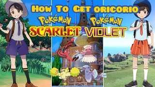 How To Get Oricorio In Pokémon Scarlet And Violet [upl. by Anaert]