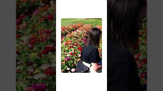 Film photography picking apples and flowers [upl. by Kella721]