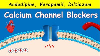 Calcium Channel Blockers  Amlodipine Verapamil Diltiazem [upl. by Arreyt]