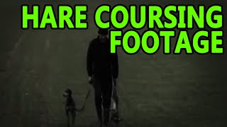 Hare Coursing Footage  Working Lurchers [upl. by Flora]