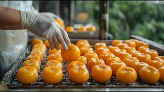 Japan Dried Persimmon Processing  Amazing Asia Agriculture Fruit Harvesting [upl. by Yadsnil655]