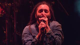 Alborosie  Contradiction Live at Couleur Café 2018 [upl. by Ezar270]