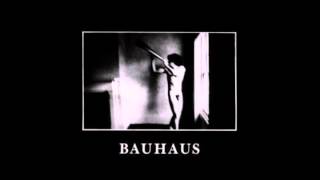 Bauhaus  A God in an Alcove 1980 Lyrics [upl. by Aidas656]