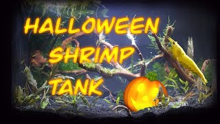 Spooky Halloween Shrimp Tank [upl. by Francesca495]