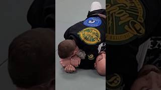 Americana Submission from Mount bjj [upl. by Kassey]