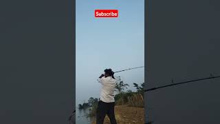 Beginners Fishing fishing carpfishing lakelover fishingvideo fishingvideo nature fish shorts [upl. by Anagrom]