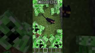 Minecraft is real ✅ minecraft minecraftseeds gaming minecraftbuilding minecraftmemes mine [upl. by Samuel165]