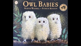 Owl Babies Childrens Storytime  Read aloud [upl. by Vola]