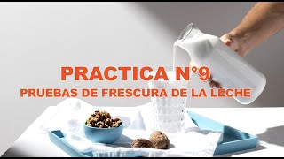 PRACTICA N°9 PRUEBAS DE FRESCURA DE LECHE [upl. by Weinrich134]