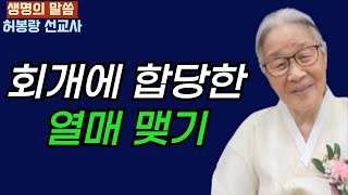 허봉랑 선교사의 생명의 말씀 회개에 합당한 열매를 맺어야 합니다 그러면 반드시 쓰임받습니다 [upl. by Elahcar]