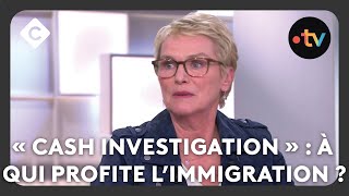 « Cash Investigation »  à qui profite l’immigration   C à vous [upl. by Yuzik]