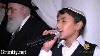 Uziya Tzadok Sings Kochav Meir Live At Chuppah [upl. by Eiluj583]