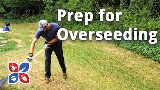 Do My Own Lawn Care  Prep for Overseeding  Ep28 [upl. by Gnex]