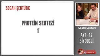 Genden Proteine  Protein Sentezi Part 1  AYT BİYOLOJİ  12SINIF  YKS 2025 [upl. by Chickie144]