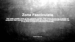 Medical vocabulary What does Zona Fasciculata mean [upl. by Clapper]