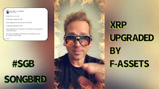 SONGBIRD‼️ WILL UPGRADE XRP🚨 WITH SMART CONTRACTS 🔥 [upl. by Anaitit]