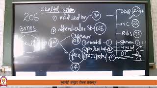 NEET BIOLOGY LOCOMOTION AND MOVEMENT3 BY MR RAJENDRA SHARMA [upl. by Nhguavaj709]