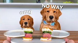 Dog Reviews Food With Little Brother  Tucker Taste Test 21 [upl. by Suilienroc467]