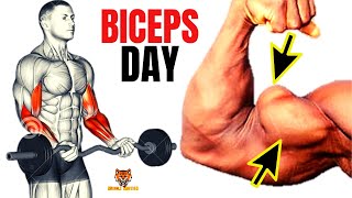 13 BICEPS EXERCISES WITH BARBELL ONLY  Musculation biceps avec barre [upl. by Eniamurt]