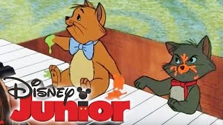 ARISTOCATS  Filmmusik  DISNEY JUNIOR [upl. by Lerim89]