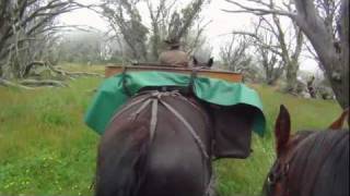 Bogong Horseback Adventures Mount Faintermov [upl. by Octavla638]